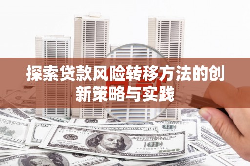 盐埕探索贷款风险转移方法的创新策略与实践