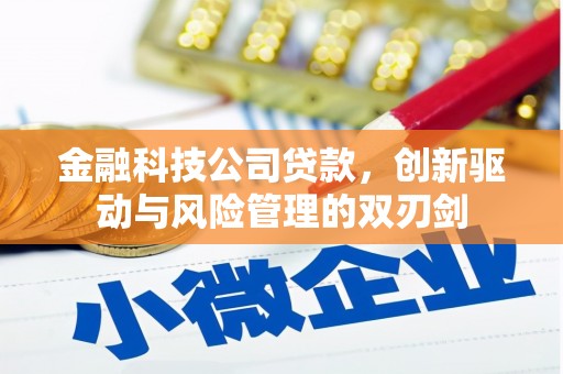 盐埕金融科技公司贷款，创新驱动与风险管理的双刃剑