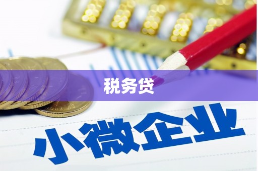 盐埕税务贷